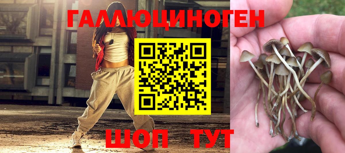 Грозный  Галлюциногенные грибы мицелий  Вход с VPN 